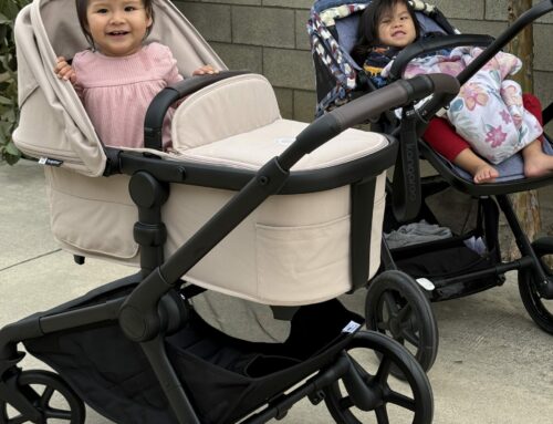 Bugaboo Kangaroo Review