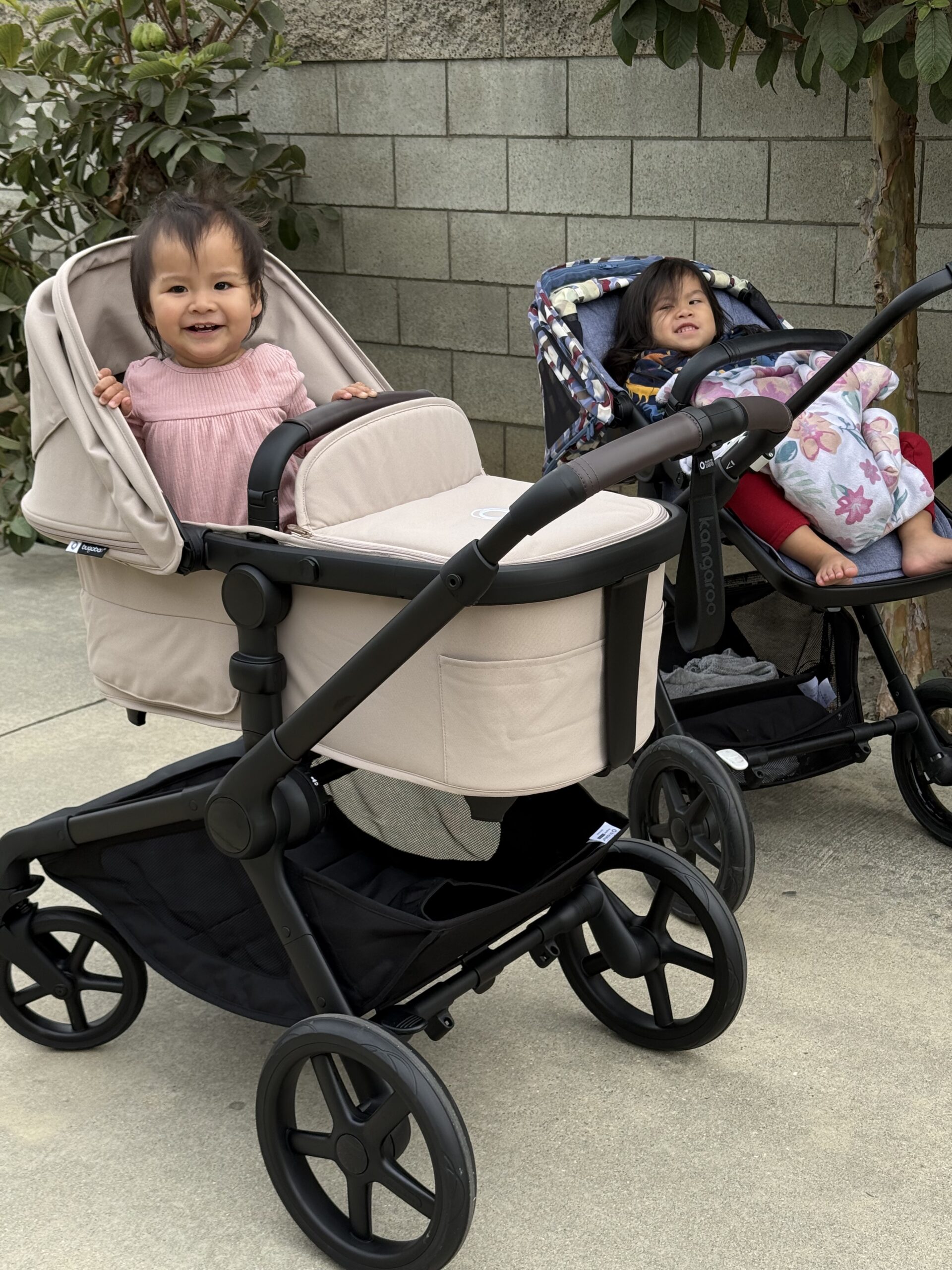 Bugaboo Kangaroo Review